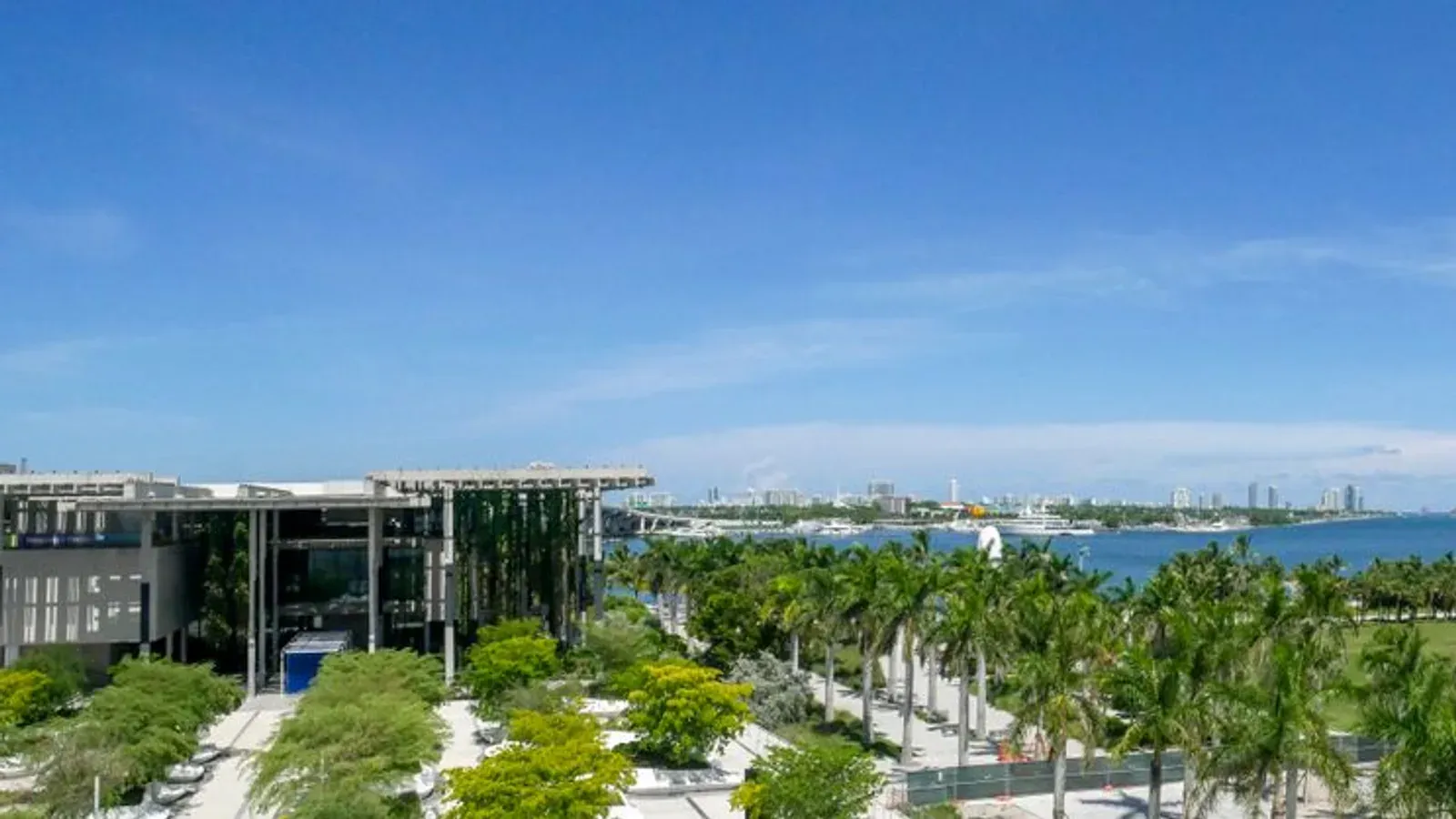 The Miami skyline behind palm trees and the bay on a clear day