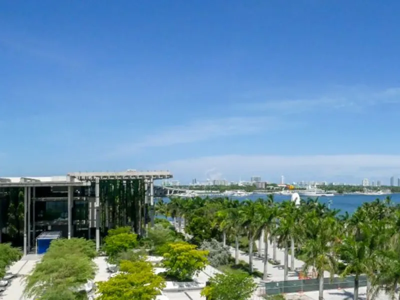 The Miami skyline behind palm trees and the bay on a clear day
